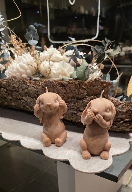 Bougies lapin